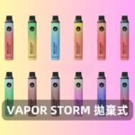 VAPOR-STORM 5000拋棄式口味推進