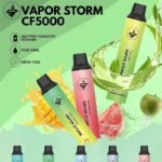 VAPOR STORM風暴5000口拋棄式